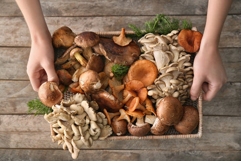 8 Best Mushrooms for Your Health