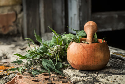 Motherwort Herb For Women’s Health Support