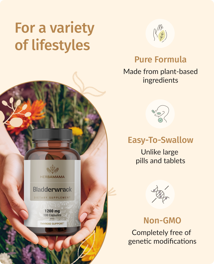 Bladderwrack Supplement - 100 Capsules