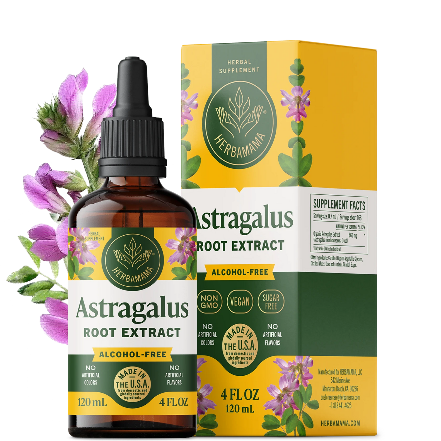 Astragalus Root Extract Drops - 4 Fl. Oz. Bottle