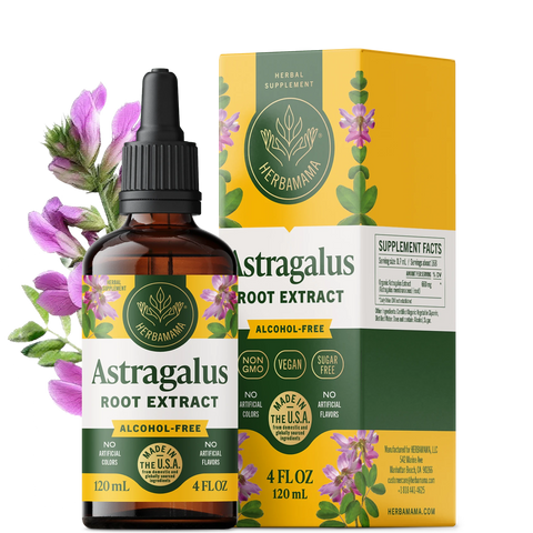 Astragalus Root Extract Drops - 4 Fl. Oz. Bottle