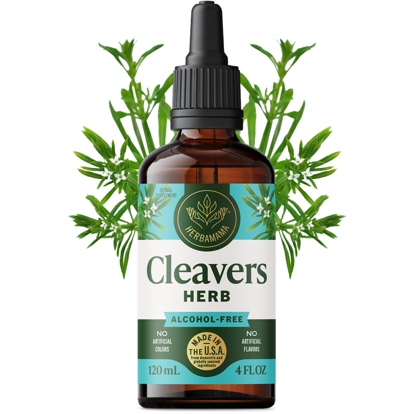 Cleavers Supplements – Herbamama