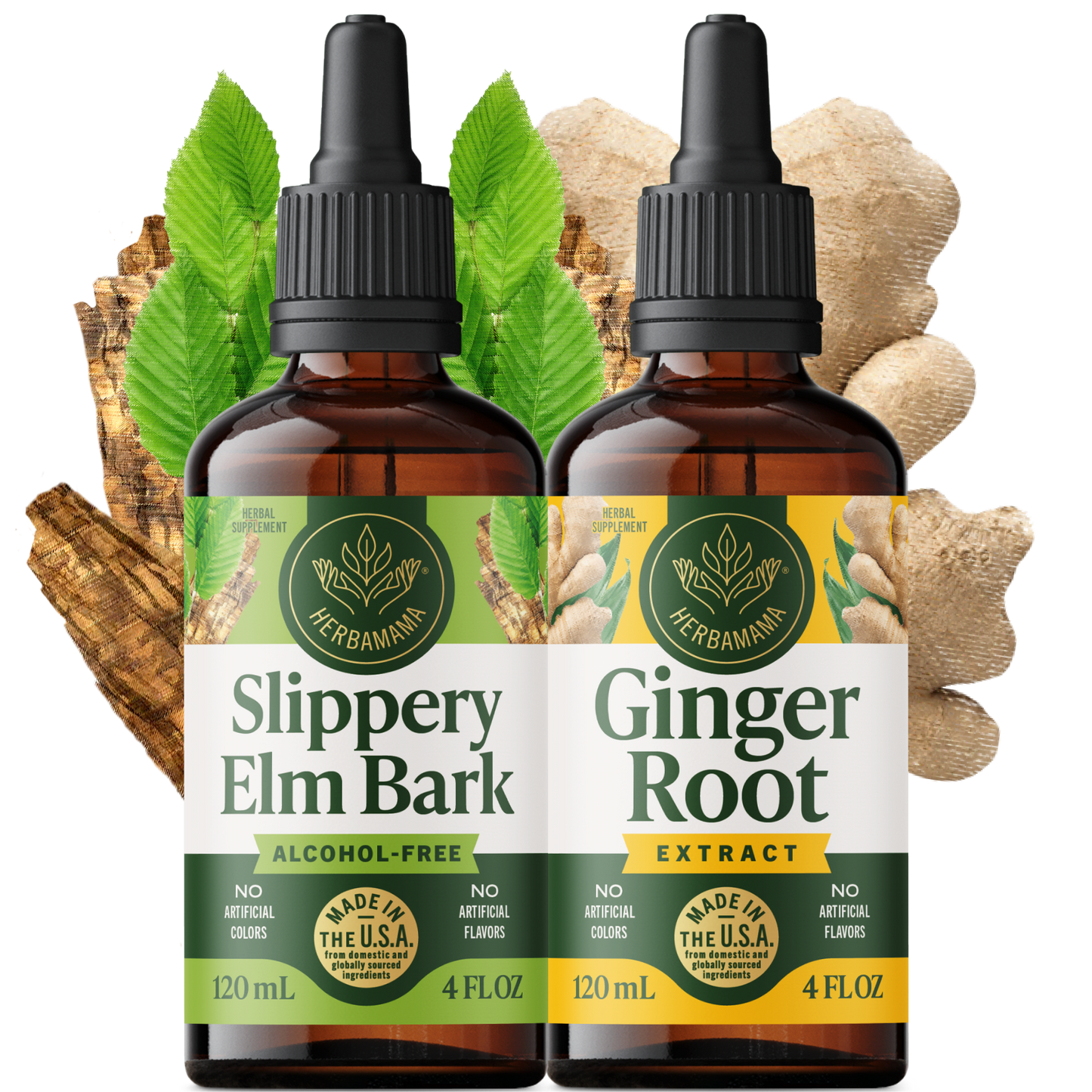 Gentle Gut Support Bundle