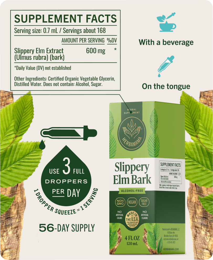 Gentle Gut Support Bundle