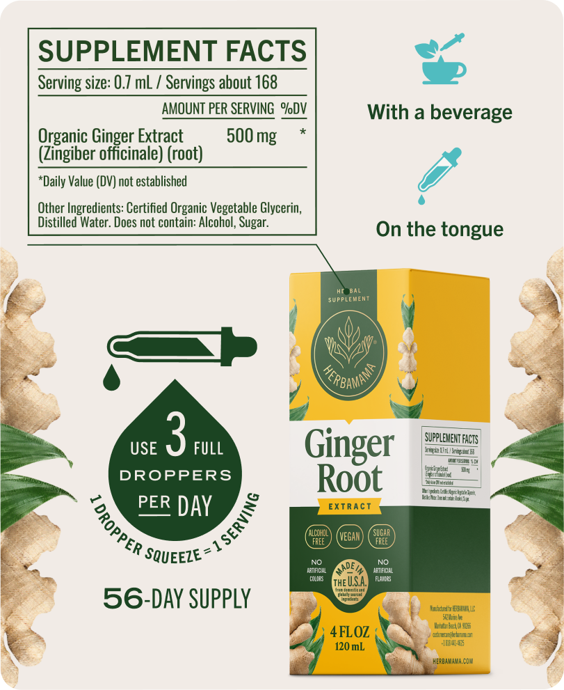 Gentle Gut Support Bundle