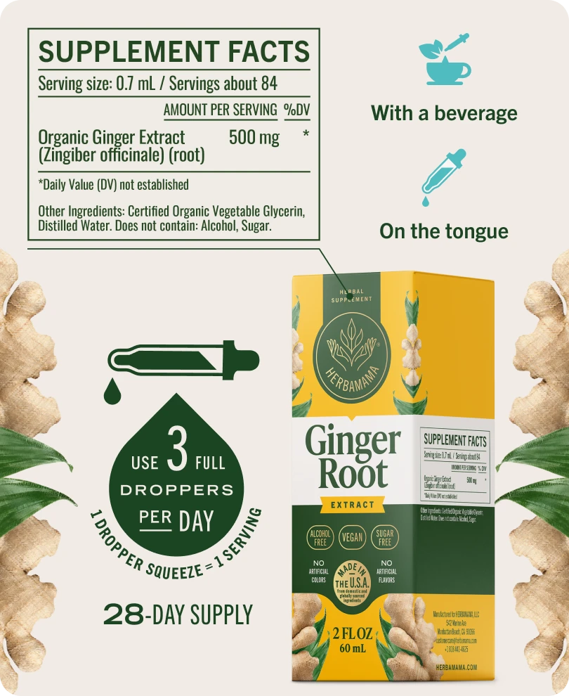 Ginger Root Extract Drops - 2 Fl. Oz. Bottle