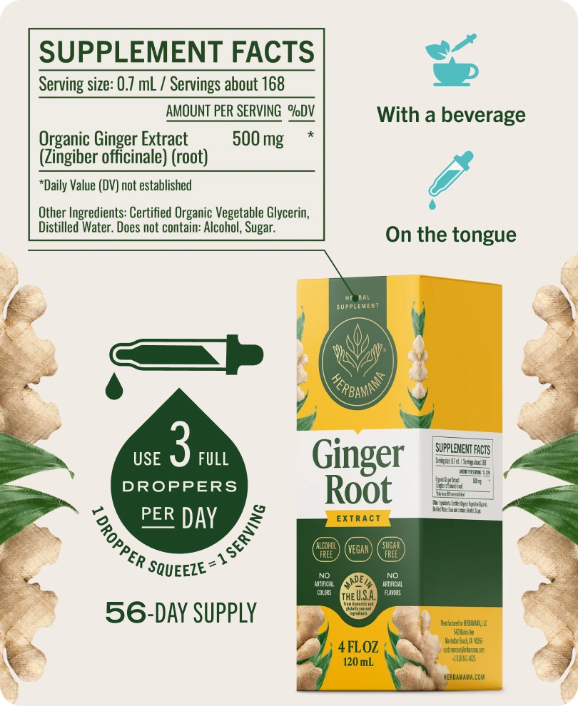 Ginger Root Extract Drops - 4 Fl. Oz. Bottle