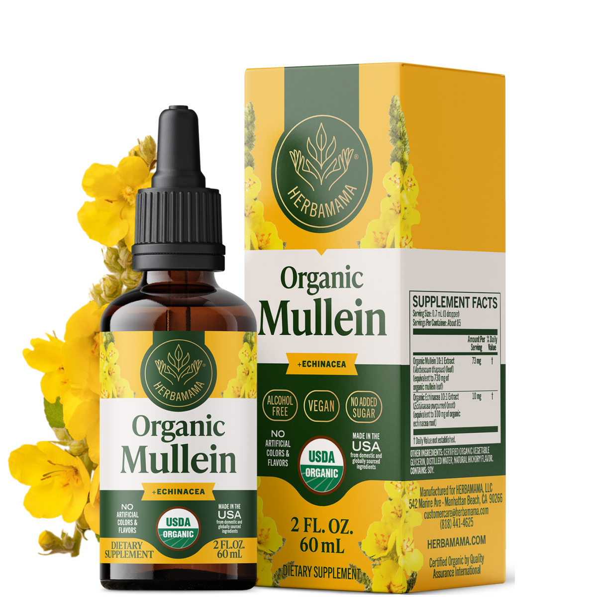 USDA Organic Mullein + Echinacea Drops - 2 Fl. Oz. Bottle