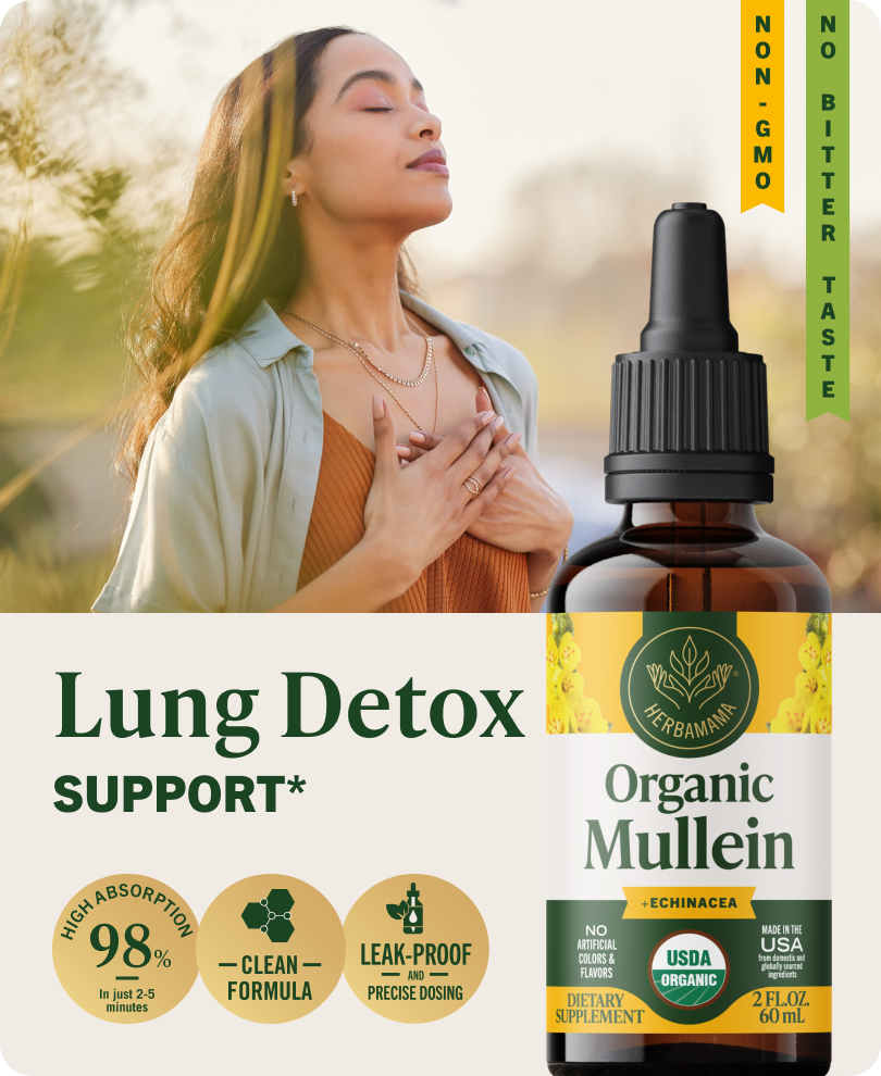 USDA Organic Mullein + Echinacea Drops - 2 Fl. Oz. Bottle