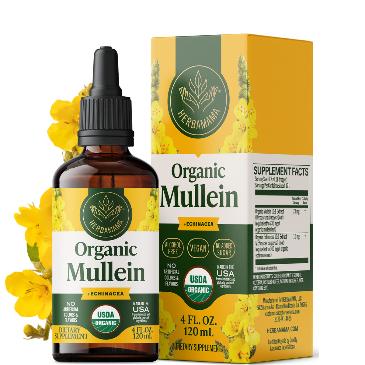 Mullein + Echinacea Drops - 4 Fl. Oz. Bottle