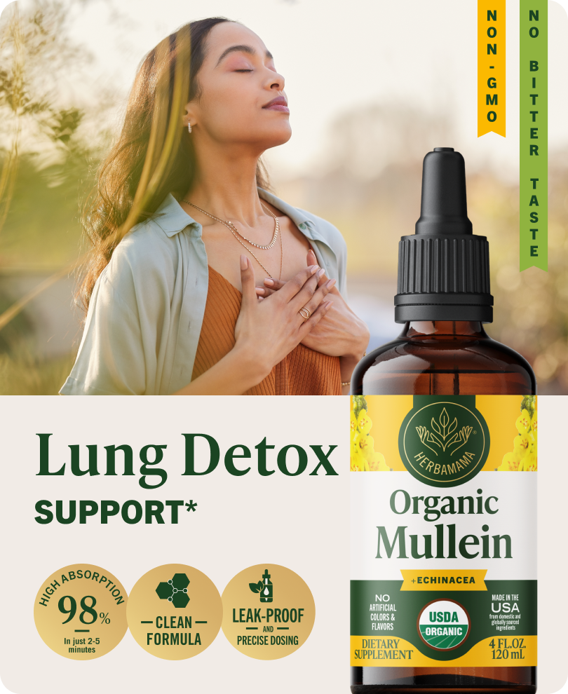 USDA Organic Mullein + Echinacea Drops - 4 Fl. Oz. Bottle