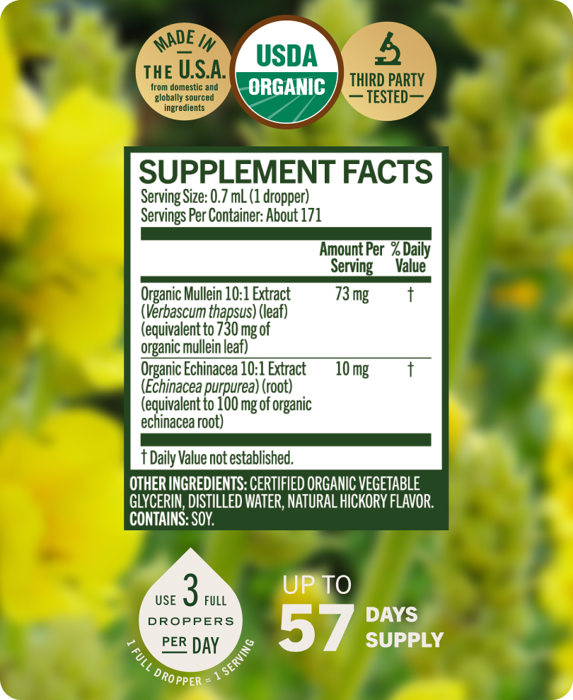 Mullein + Echinacea Drops - 4 Fl. Oz. Bottle