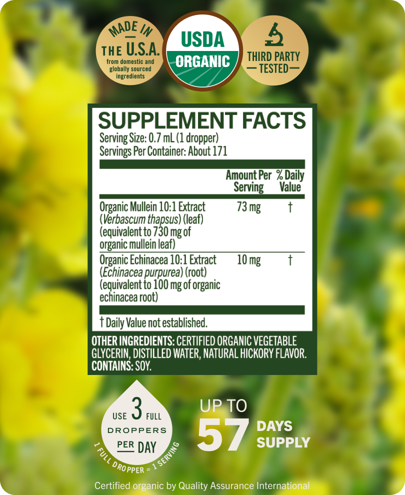 USDA Organic Mullein + Echinacea Drops - 4 Fl. Oz. Bottle