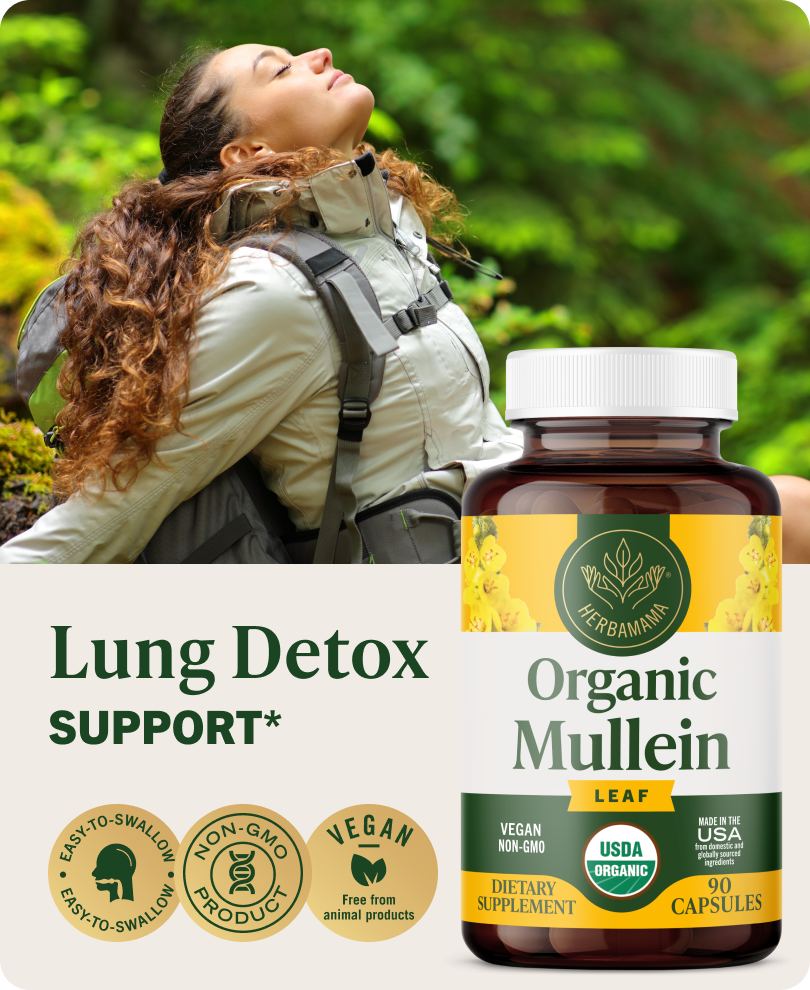 USDA Organic Mullein Leaf Capsules - 90 CT