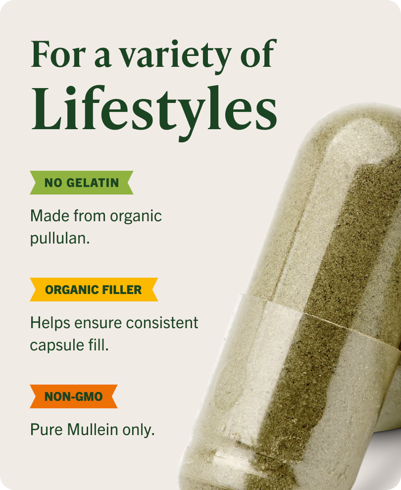USDA Organic Mullein Leaf Capsules - 90 CT