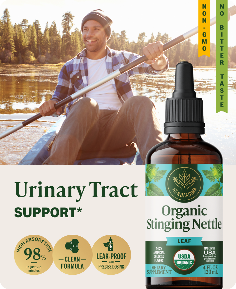 USDA Organic Stinging Nettle Leaf Drops - 4 Fl. Oz. Bottle