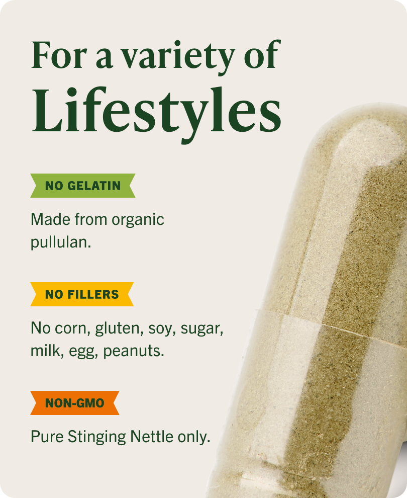 USDA Organic Stinging Nettle Root Capsules - 90 CT