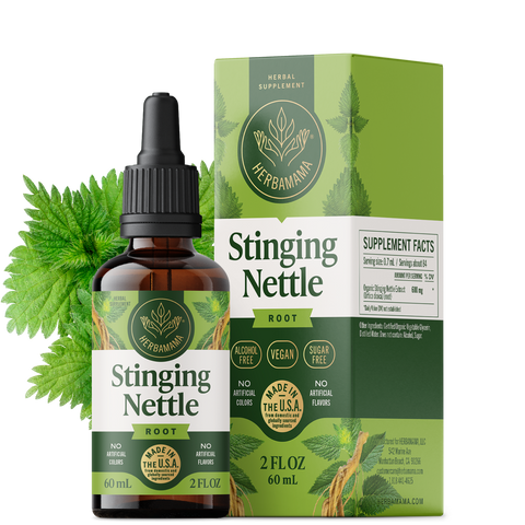 Stinging Nettle Root Liquid Extract - 2 Fl. Oz Bottle