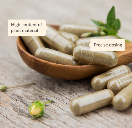 Mullein Leaf Supplement Capsules, 1200 mg. | Herbamama