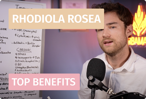 Rhodiola Rosea: Brain Health, Immunity, and More!