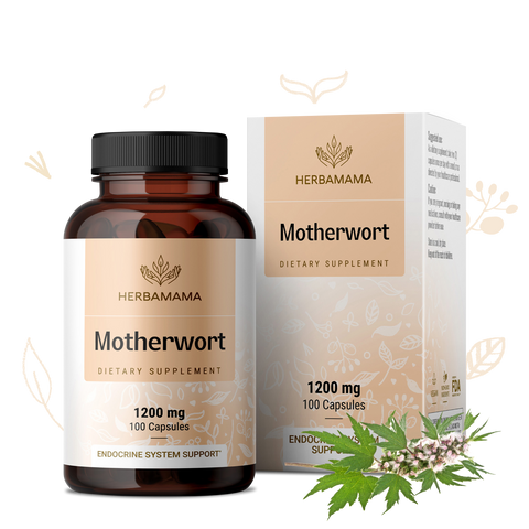 Motherwort Supplement - 100 Capsules