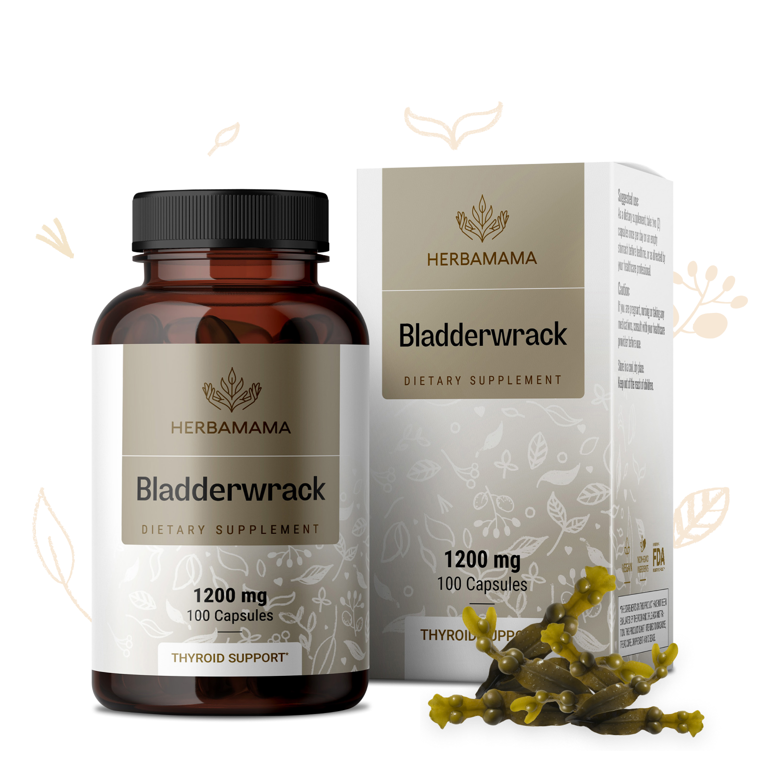 Bladderwrack Supplement - 100 Capsules