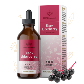 Black Elderberry Liquid Extract - 4 Fl. Oz Bottle