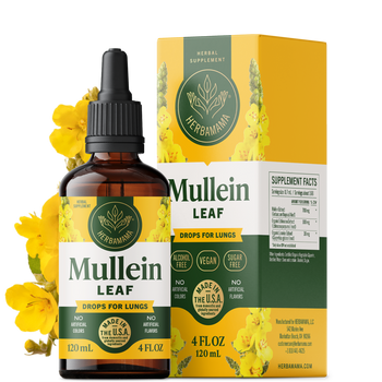 Mullein Liquid Extract - 4 Fl. Oz Bottle