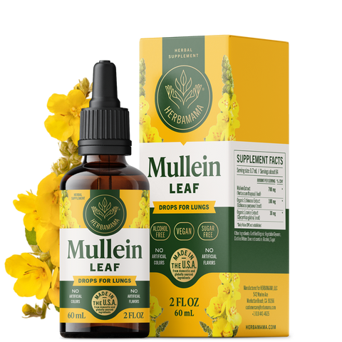 Mullein Liquid Extract - 2 Fl. Oz. Bottle